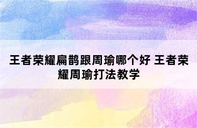 王者荣耀扁鹊跟周瑜哪个好 王者荣耀周瑜打法教学